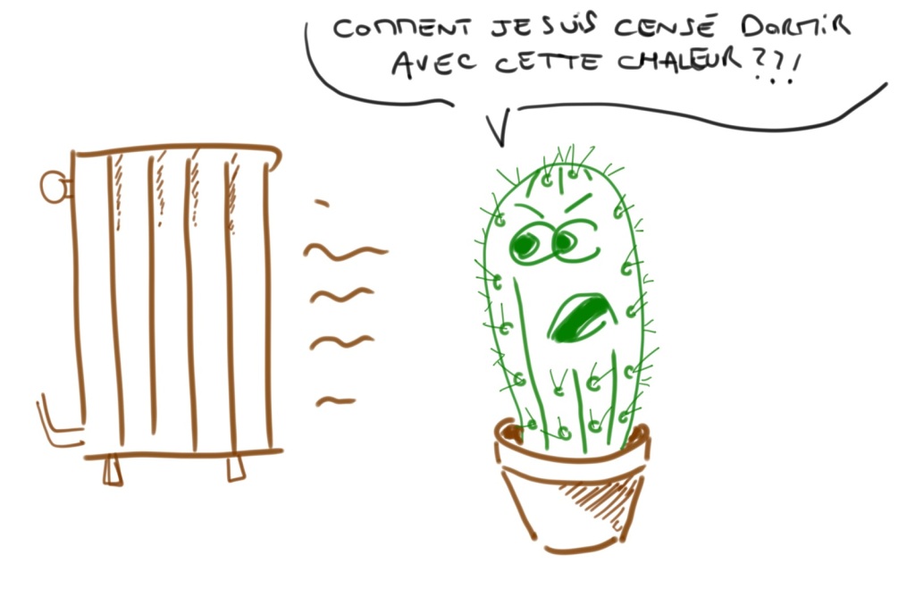 cactus proche du radiateur