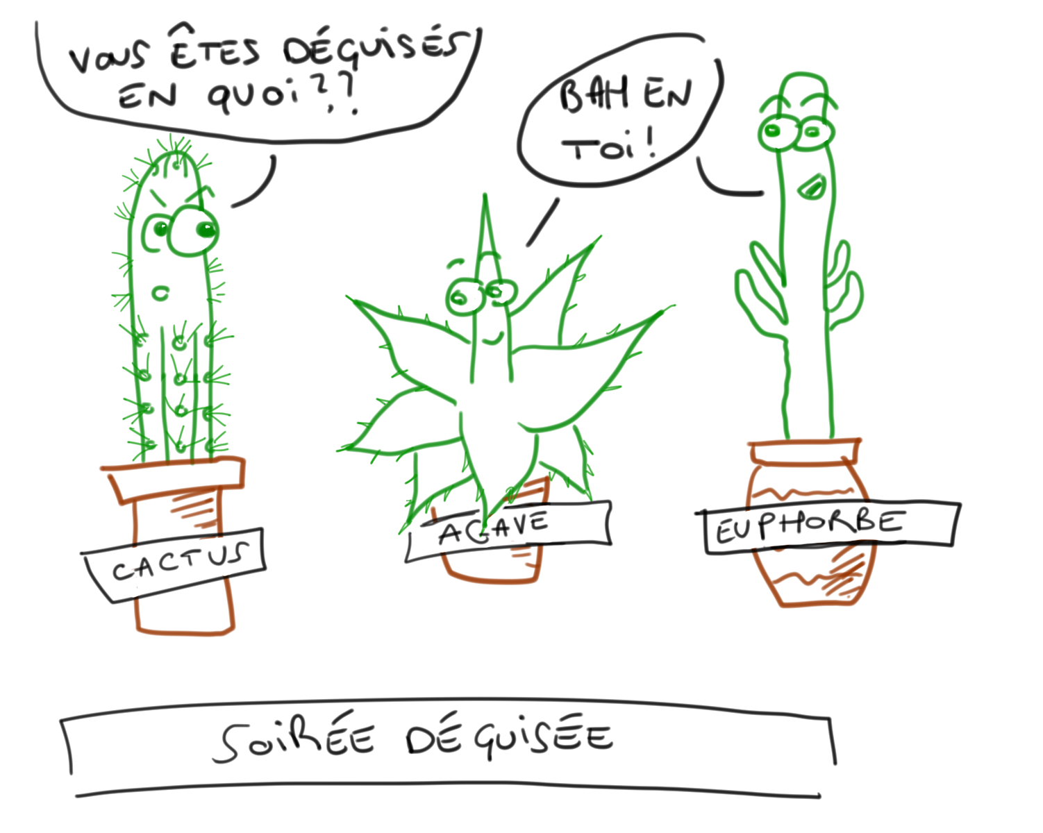 succulentes déguisées en cactus